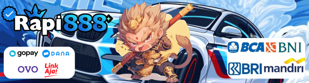 RAPI888